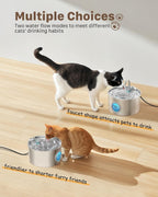 2.2L Stainless Steel Cat Fountain