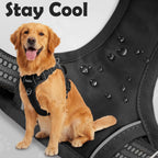 No-Pull Adjustable Dog Harness