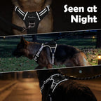No-Pull Adjustable Dog Harness