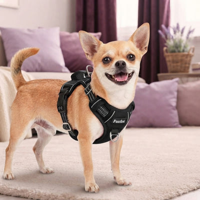 Effortless pet wellness indeed.
