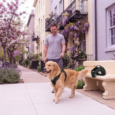 Walks are finally relaxing.
